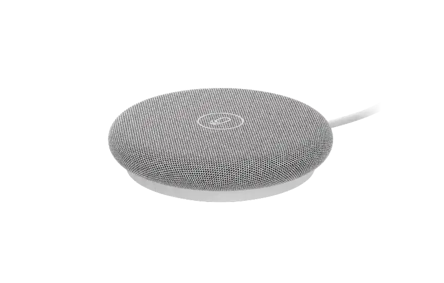 Logitech Rally Mic Pod 2